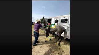 EL ARCÁNGEL VS LA LADYCrey de ReyesCLa EsperanzaCarril Gonzalo Jiménez huamatla Tlaxcala [upl. by Donn]