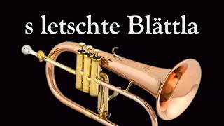 s letschte Blättla FlügelhornDuo [upl. by Maxie]