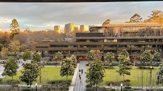 The last semeter  Macquarie University Sydney 2024 [upl. by Mailliw]