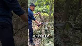 ♡Core brushless lithium chainsawviralvideo youtubeshorts [upl. by Pasahow]