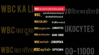 Wbc ka kya Kam hai education medical wbc shorts [upl. by Donegan861]