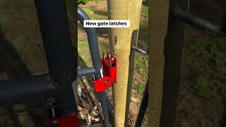 Installed cattle gate latches for one hand opening diy farmstead animals chicken homestead [upl. by Scurlock]