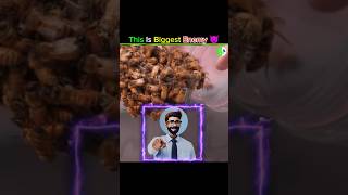 This Is Why Bees Are Coated In Sugar😱 facts shorts factoholic shortvideo [upl. by Atiugram]