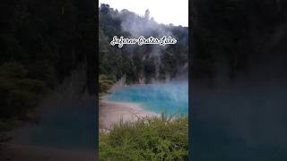 Inferno Crater Lake in Waimangu Volcanic Valley Must Visit in Rotorua shortsfeed shorts rotorua [upl. by Ilahsiav]