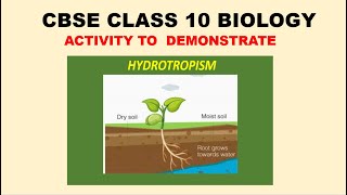 HYDROTROPISM BY RAVI KUMAR [upl. by Aoket]