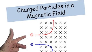 Particles in a Magnetic Field  IGCSE Physics [upl. by Iahk635]