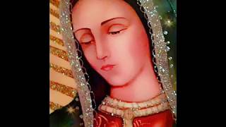 Virgencita del Tepeyac  Juan Jesús Quijandria [upl. by Klara]