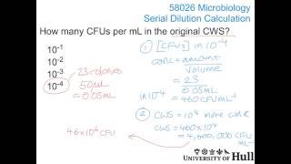 Microbiology Serial Dilution calculation [upl. by Ambrose]