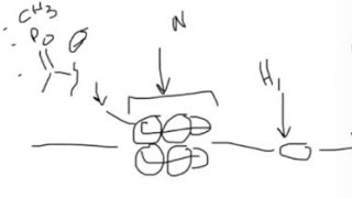 Molecular biology  How histones interact with DNA What is methylation acetylation… [upl. by Takakura]