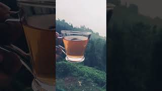 Chai aur Pahad ☕⛰️ [upl. by Trahurn]