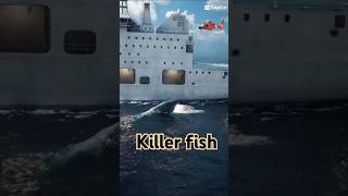 Killer fish [upl. by Aicatsanna]