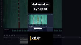 datamaker synapse 동영상 라벨링 툴 구간 분리 및 라벨링 [upl. by Rotberg]