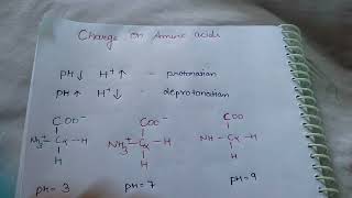 Amino acids charges on different pH amp pI  BIOCHEMISTRY ph isoelectric point [upl. by Grefer]