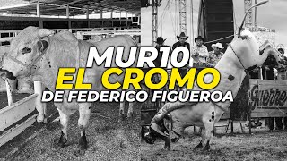 MR10 El TORO el Cromo de RANCHO LA CANDELARIA de Federico Figueroa 🐂🔥💥 [upl. by Anairotciv]