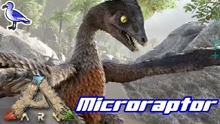 HOW TO TAME A MICRORAPTOR IN ARK [upl. by Alexandros]