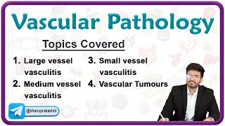 🩸🛤️ Vascular Pathology  Part 1   Vasculitis amp Atherosclerosis🔬 Pathology Chapter  4 [upl. by Ilsel140]