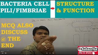 Bacterial Cell  Structure of Pili or Fimbriae  Function of Pili  Detection of Pili  MCQ Bacteria [upl. by Lemra397]