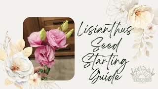 Lisianthus Seed Starting Guide When to Start Germinating Seeds amp Planting Tips [upl. by Sarina]