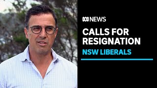 NSW Liberal Party in turmoil after failing to nominate candidates for local elections  ABC News [upl. by Oliric]