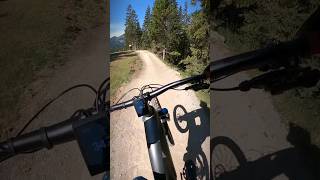 Lenzi BikePark BlueLine unterer Teil ❤️‍🔥 mtbfun bikepark cubebikes downhill emtblife [upl. by Buatti]