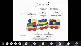 Sequential Segmental Analysis in Congenital Heart Disease Echocardiography by Dr Shreedhar Joshi [upl. by Terina]