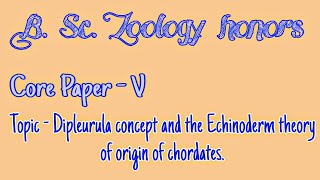 Dipleurula concept and the Echinoderm theory of origin of chordates [upl. by Allenotna484]