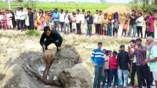 ऐसा खौफनाक मंजर कम देखने को मिलता है नाग किस तरह छिपा था फिर क्याCobra Snake in boundary wall😱 [upl. by Sharona670]