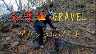 グラベル紅葉トレイル 下りパートSalsa Fargo Salsa Warbird Surly Midnight Special [upl. by Itsur]