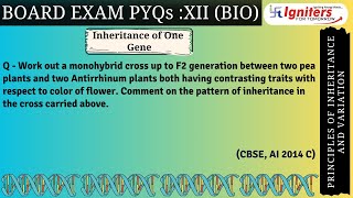 Work out a monohybrid cross up to F2 generation between two pea plants and two Antirrhinum plants [upl. by Leasia]