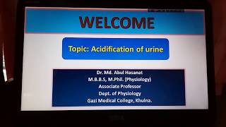 Acidification of urine [upl. by Nytram728]