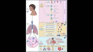 pneumonia vs tuberculosis  Medical Common Sense [upl. by Chaker]