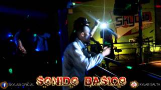 SKYLAB  SONIDO BASICO  SHOW EN VIVO HD [upl. by Ced514]