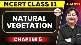 Natural Vegetation FULL CHAPTER  Class 11 Geography NCERT Chapter 5  OnlyIAS [upl. by Ydnih]