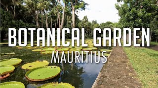 Mauritius Botanical Garden Sir Seewoosagur Ramgoolam Botanical Garden [upl. by Netfa]