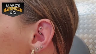 WILDFLEISCH am ROOK Piercing und Conch Piercing gestochen 💉 Marcs Piercing TV [upl. by Marcus144]