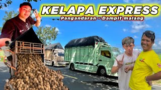 PANEN RAYA KELAPA EXPRESS‼️ PANGANDARAN MALANG TEMBUS 1 HARI ⁉️truck truckoleng trucks [upl. by Callista]