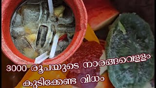 3000 രൂപ നാരങ്ങ വെള്ളം  3000 Rs Lime Juice PathanamthittaNaranga Vellam [upl. by Lladnew903]