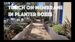 Planter Box Waterproofing  Soprema Torch On Membrane [upl. by Backler]