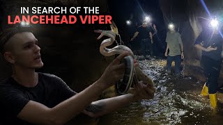 Searching for Thailands RAREST Viper Exploring Caves amp more Part 1 [upl. by Johann14]