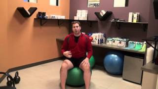 Balance Ball Exercises [upl. by Neu]