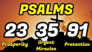 Psalms 233591 THE ESSENTIAL PSALMS FOR ABUNDANCE BREAKING SPELLS AND PROTECTION [upl. by Eliezer]