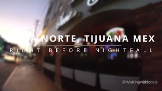 Walking Tour at Dusk in Zona Norte in Tijuana Coahuila Street [upl. by Annaitat]