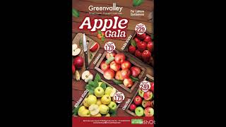 Greenvalley Premium Hypermarket offer is valid till 10th November 2024 [upl. by Ailama855]