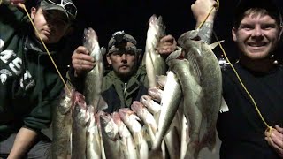 Walleye Fishing From Shore The Best Walleye Fishing Lures For Shore Fishing Or Trolling [upl. by Basile121]