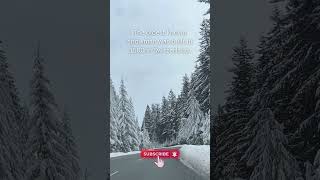 Skiing vs Snowboarding Which is Better 🎿🏂 winter winteractivities polandtourism [upl. by Enneirda]