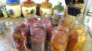 Canning Meat and Straight Talk on Canning in a SHTF [upl. by Gallenz]