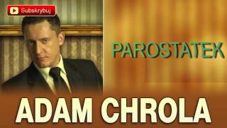 Parostatek  Adam Chrola Cover [upl. by Ralli]