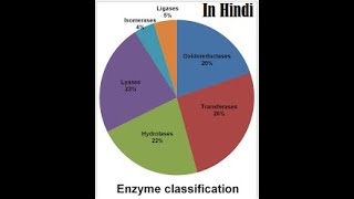 EnzymeClassification [upl. by Niawat98]