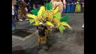 Viaggio alle isole canarie Las Palmas Il carnevale 2 [upl. by Eissel]