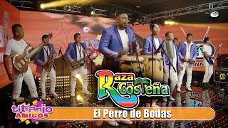 Raza Costeña  El Perro de Bodas Video Oficial [upl. by Llewop]